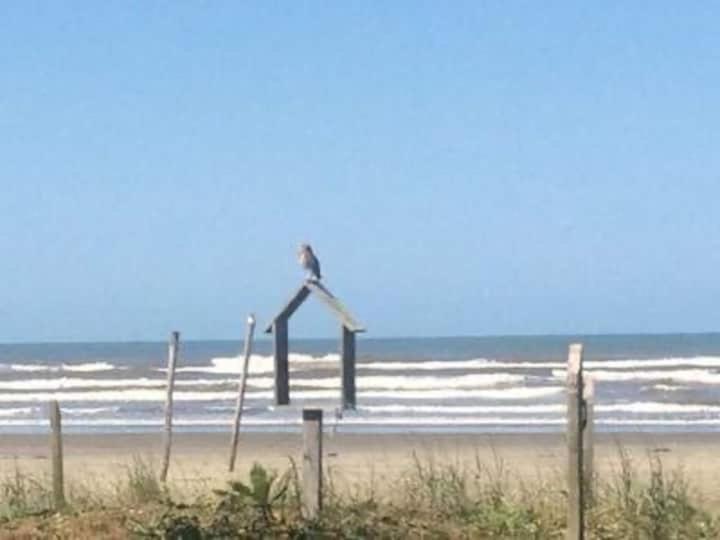 Pe Na Areia Gaivotas Com Wi-Fi Villa Itanhaém Eksteriør billede